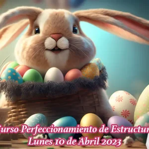 Flyer 1 - 10 Lunes Abril - Estructura