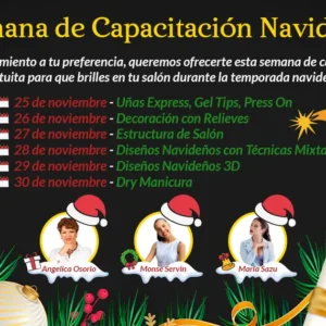 Cursos de Capacitacion Navideña
